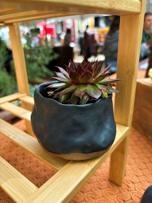 Planter in Speckled Black Satin